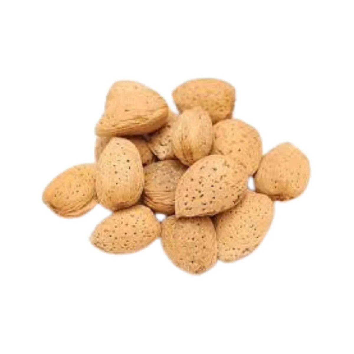 Almonds in Shell