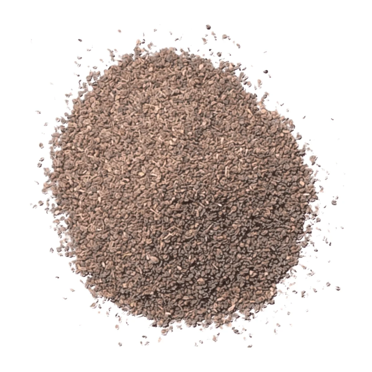 Celery Seeds – Ayurvedic Spice for Digestion, Detox & Joint Support