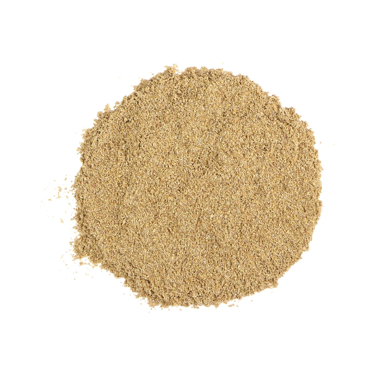 Roasted Coriander Powder
