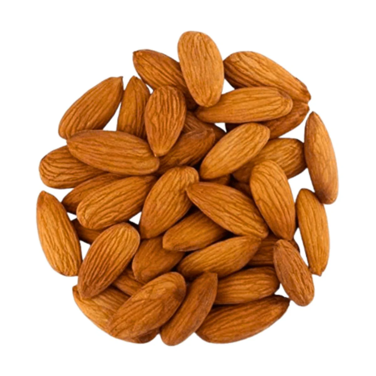 Jumbo Almonds – Extra Large
