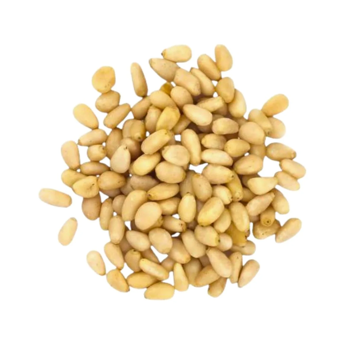 Pine Nuts